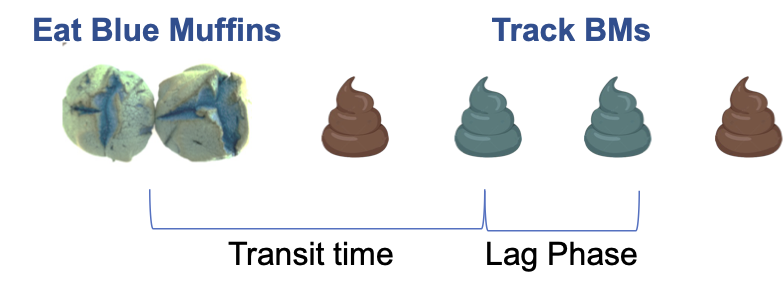 Blue Dye Explanation